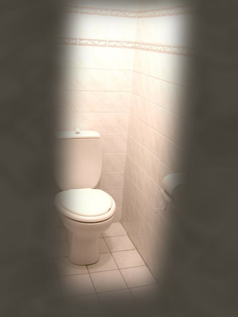 Порно Камера В Туалетах Подглядывать